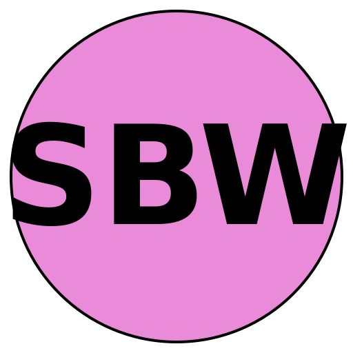 Savvy Beauty Weddings